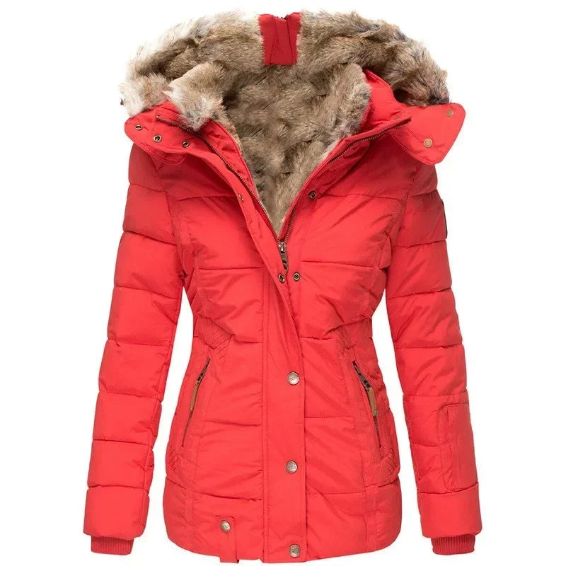 Juliette | The Winter Jacket